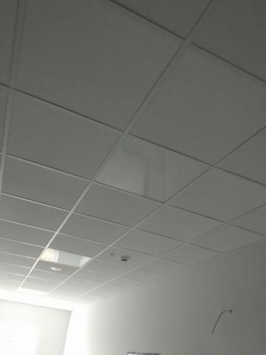 31933479 1487128661393018 8826809039171092480 n